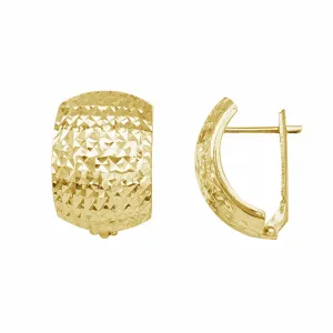 Brilliant Faceted-cuts Earrings (14K)