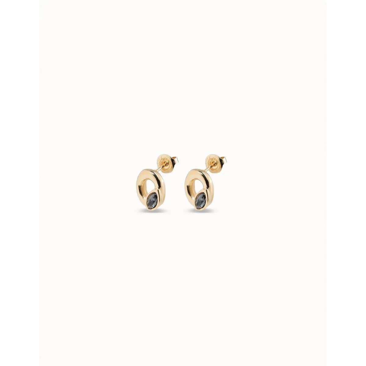 Details Earrings