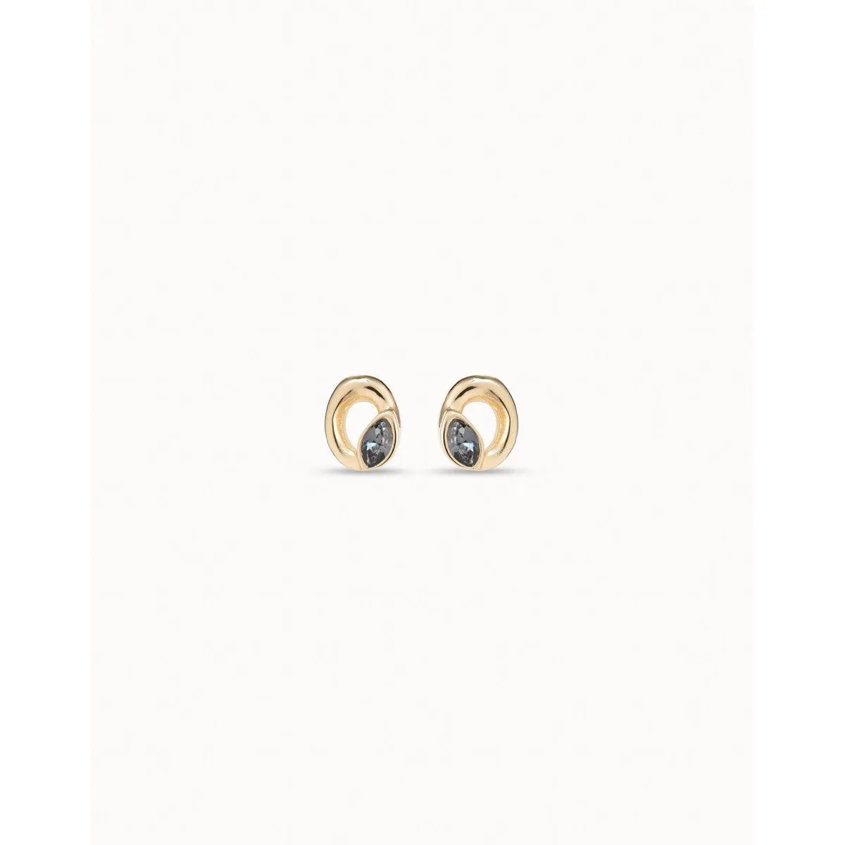 Details Earrings
