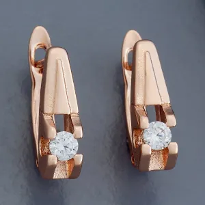 Trendy Earring 179690