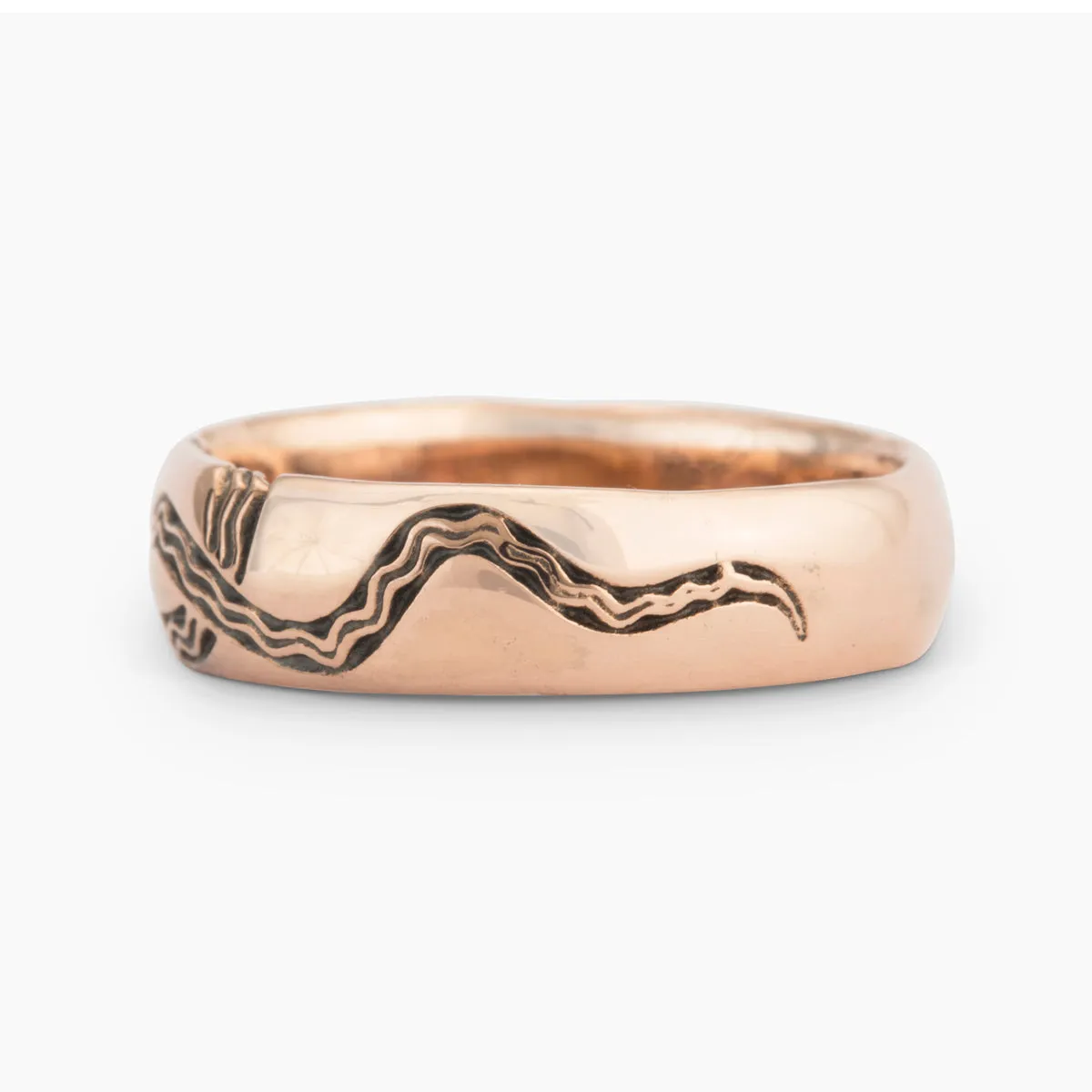 Vipera Band
